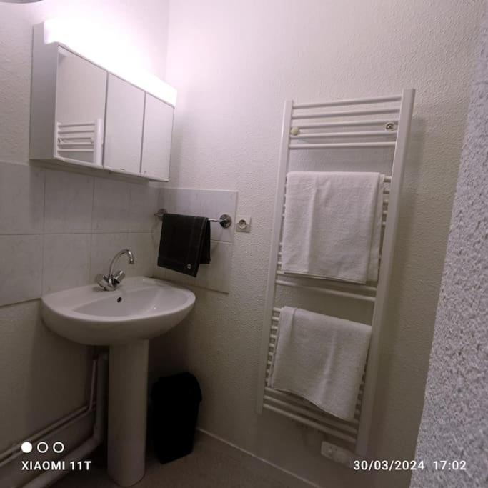 Villeurbanne Centre Appartement Meuble 외부 사진